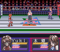 Play Bishoujo Wrestler Retsuden – Blizzard Yuki Rannyuu!! Online