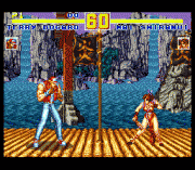 Play Fatal Fury Special Online
