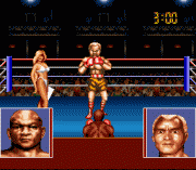 Play George Foreman K.O. Boxing Online