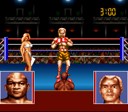 Play George Foreman K.O. Boxing Online