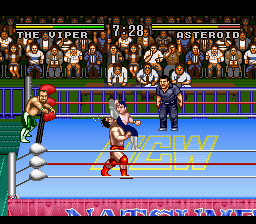 Play Natsume Championship Wrestling Online