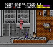 Play Ninja Gaiden Trilogy Online