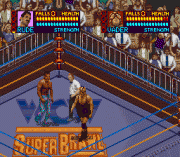 Play WCW Super Brawl Wrestling Online