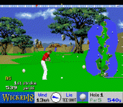 Play Wicked 18 Golf Online